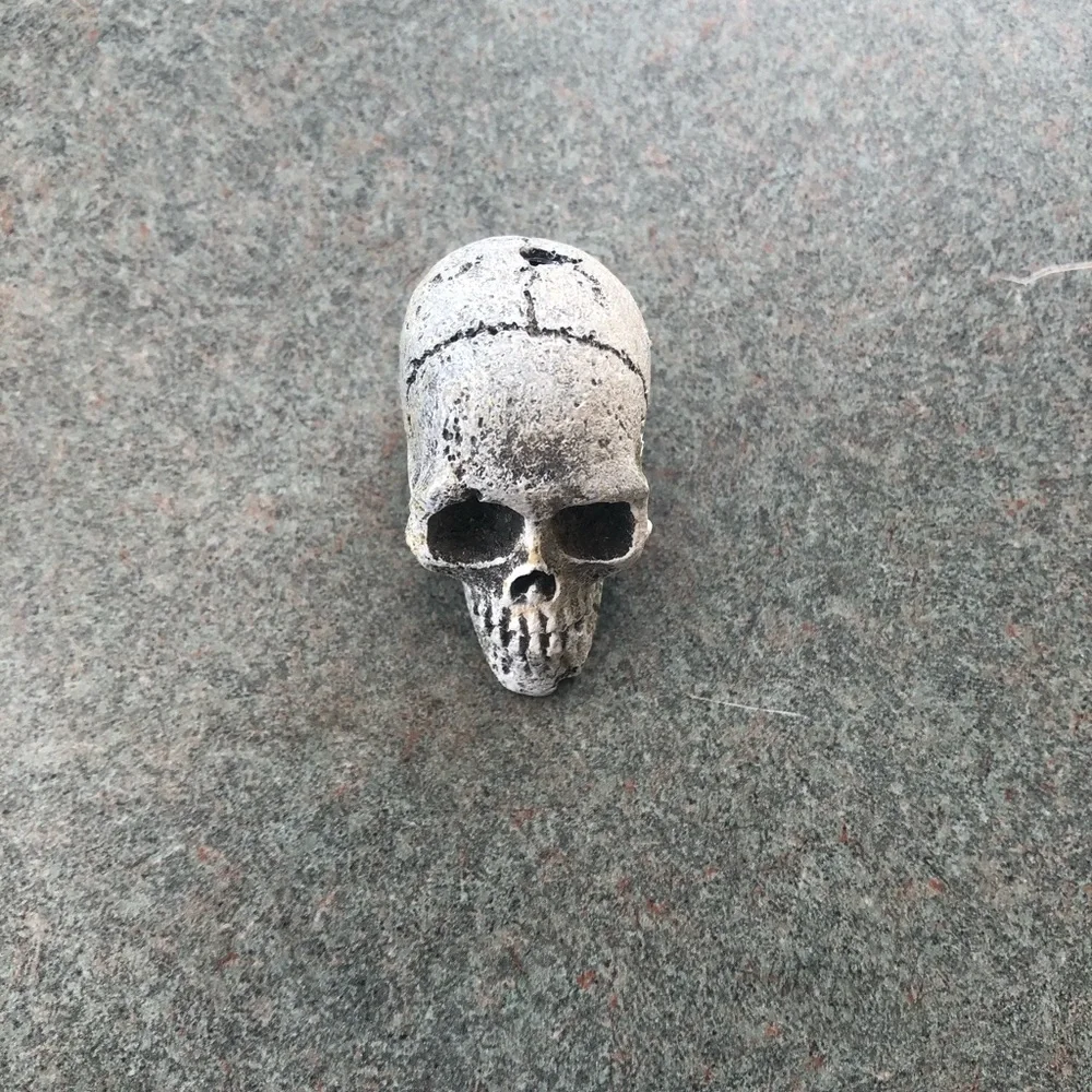 ✨ Host Pick! Mini Skulls for Aquarium or Halloween decoration (set of three)✨ - Picture 6 of 6